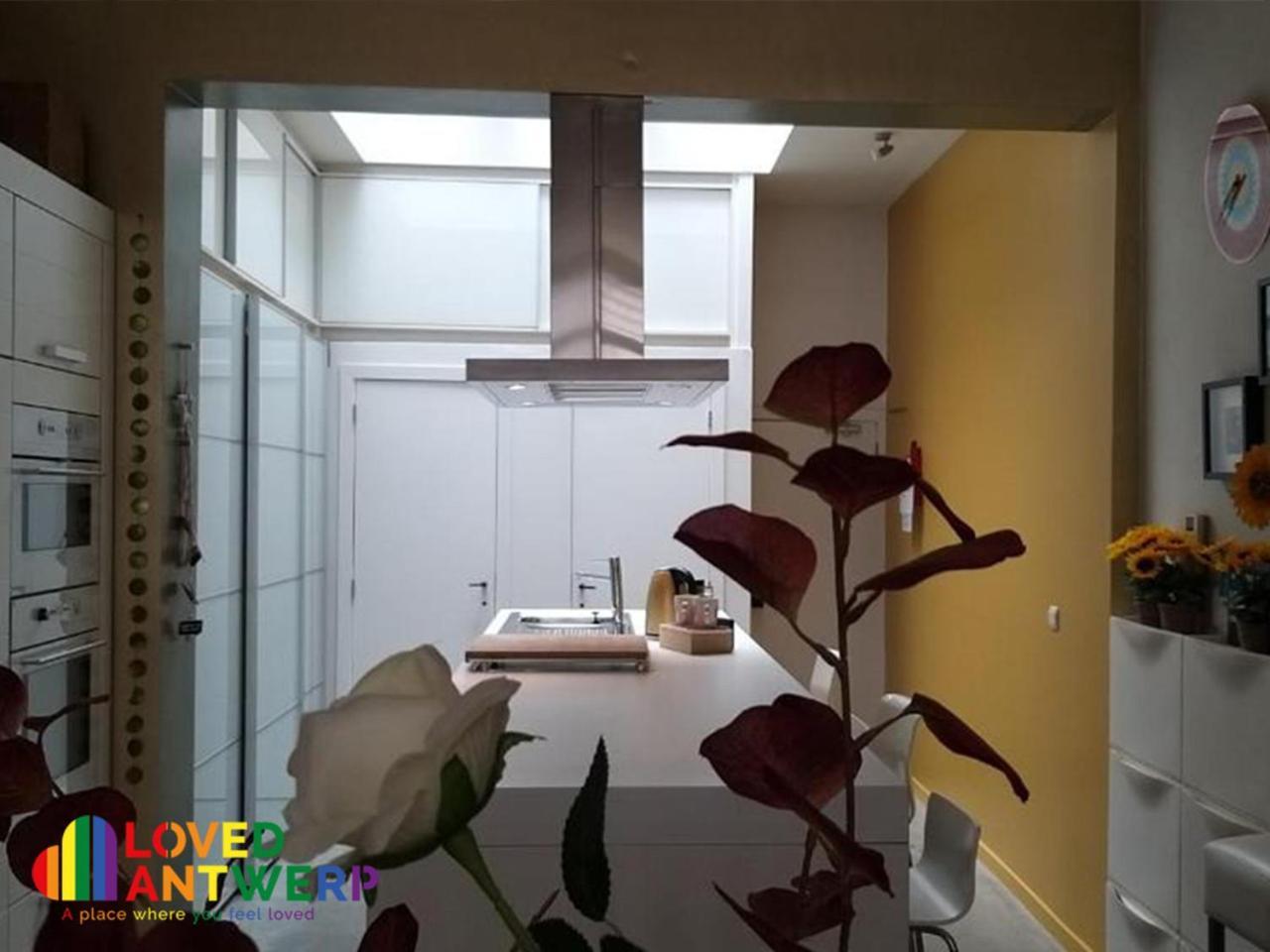 Wellness Loft With Sauna, Jacuzzi, Roof Terrace & Amazing View